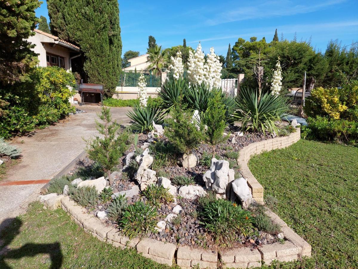 La Maison De Georges - Climatisee -Terrain Et Vue Etang Marseillan  Exterior foto